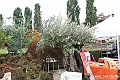 VBS_3437 - Floreal 2023 - Vivere con le piante